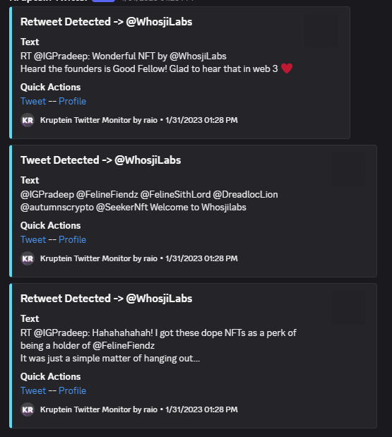 Twitter/X Monitor project preview